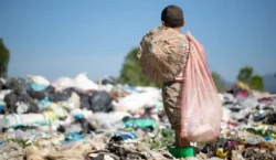 Mais de 4,3 mil crianças foram tiradas do trabalho infantil em 2025