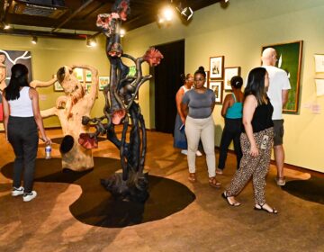 Últimos dias para visitar a exposição “Floresta de Infinitos” na Casa das Histórias de Salvador