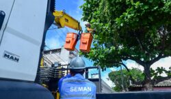 Poda preventiva contribui para reduzir acidentes e conservar arborização urbana; saiba como solicitar serviço