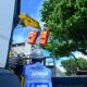 Poda preventiva contribui para reduzir acidentes e conservar arborização urbana; saiba como solicitar serviço
