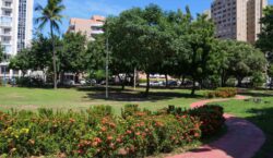 Programa Verde Perto tem atualmente 39 espaços públicos adotados pela sociedade civil em Salvador