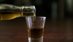 Cresce o número de estabelecimentos na cadeia produtiva da cachaça