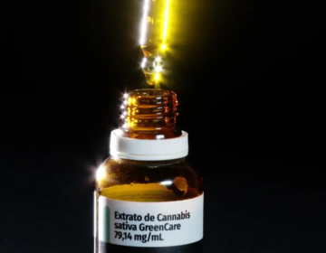Autorizações para importação de cannabis aumentam 29% em 2026