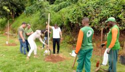 Prefeitura amplia arborização com plantio de 30 novas árvores na Vila Laura