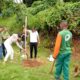 Prefeitura amplia arborização com plantio de 30 novas árvores na Vila Laura