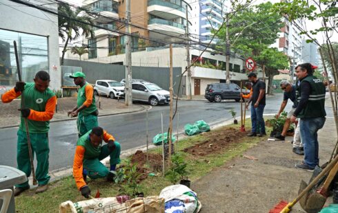 Prefeitura de Salvador promove plantio de mudas de árvores na região do Porto da Barra