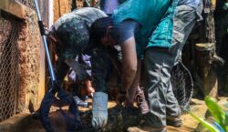 Grupamento resgata mais de 5,5 mil animais silvestres em Salvador em menos de dois anos