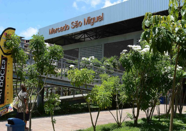 Mercado de São Miguel vira novo ponto de cadastramento de ambulantes para festas populares