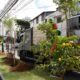 Prefeitura conclui plantio do Corredor Verde no Cabula