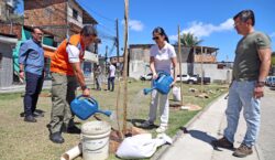 Prefeitura encerra Operação Plantio Chuva com mais de 10 mil mudas em Salvador