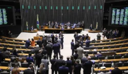 Cresce número de mulheres eleitas para o Congresso Nacional