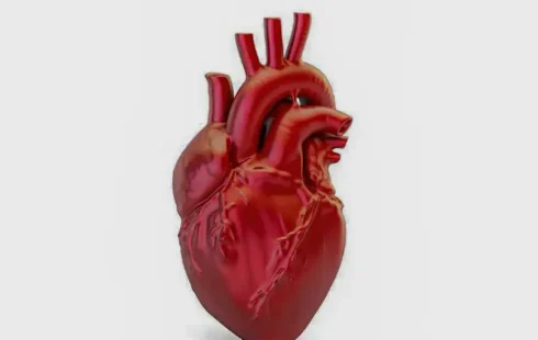 A cada 72 segundos, uma pessoa morre por doença cardiovascular no país